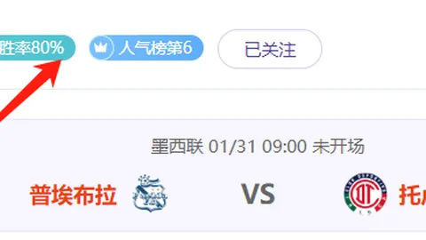 孔塞桑：欧冠荣耀梦想成真，逆境中显英雄本色